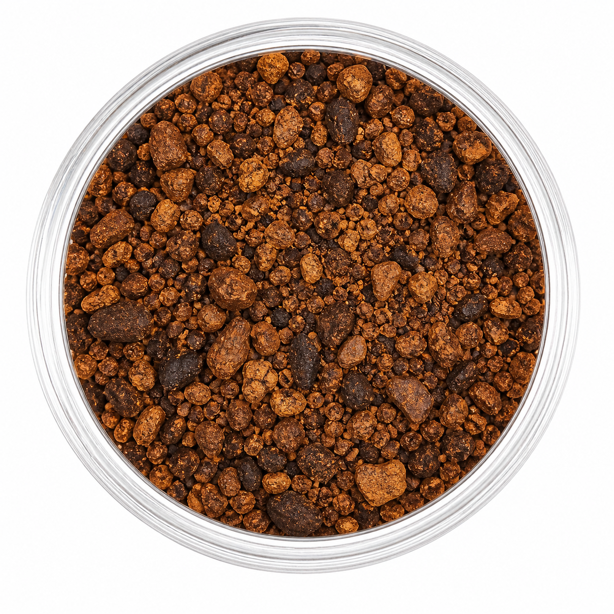 Chaga - głęboki rytuał (grzyb krojony)